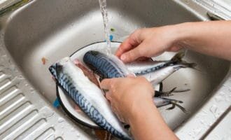 max_g480_c12_r4x3_pd10