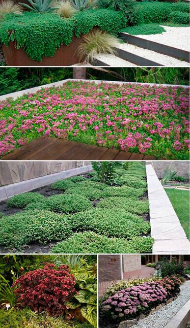 max_g480_c12_r2x3_pd10