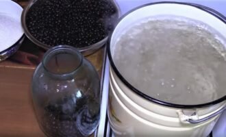 max_g480_c12_r4x3_pd10