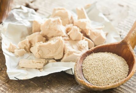 max_g480_c12_r4x3_pd10