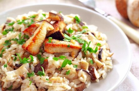 max_g480_c12_r4x3_pd10