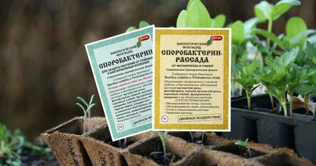 max_g480_c12_r16x9_pd10