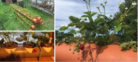 max_g480_c12_r16x9_pd10