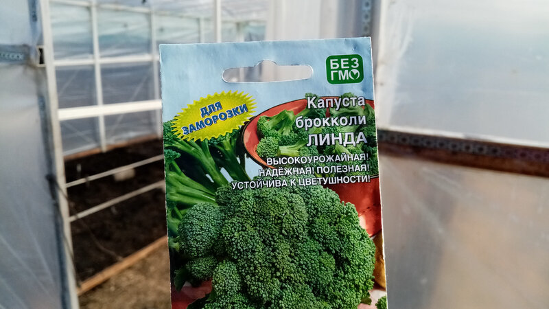 капуста Брокколи сорта "Линда". Посев семян на Рассаду 14 апреля 2022г ...