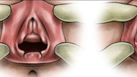 Men buvimga sikimni so‘rishiga ruxsat berdim