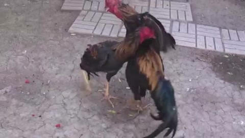 Eri kormagan paytda yuzidagi porno