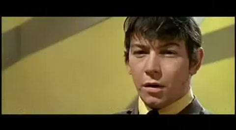 энималс дом восходящего солнца 1964