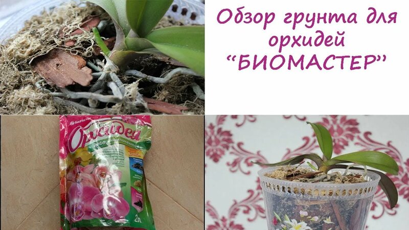 Орхидея. Грунт для орхидей. Субстрат Биомастер.//Валентина Земскова ...