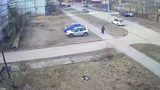 Yandex video arama