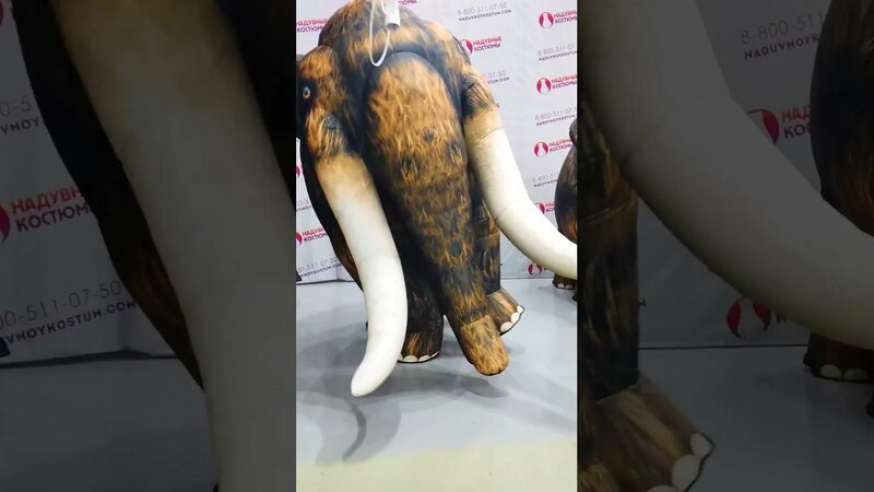 Надувной костюм МАМОНТа для двух аниматоров. #мамонт #shorts - Смотреть ...