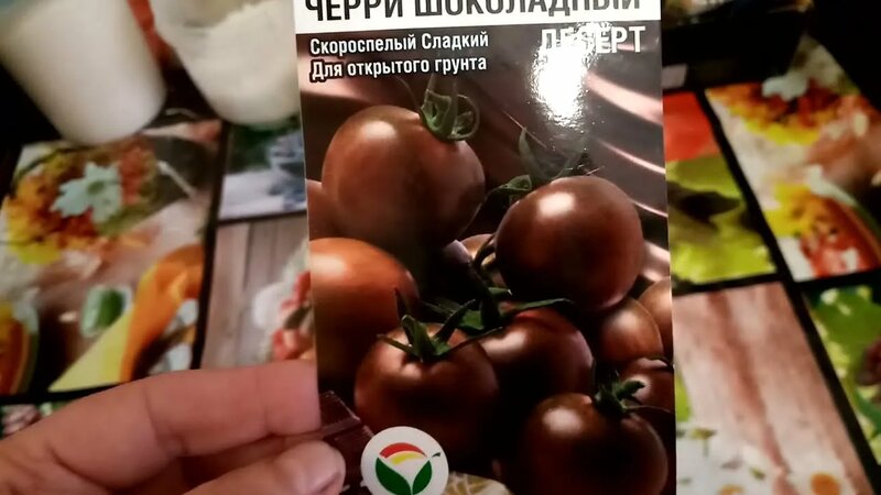 Томат Черри "Шоколадный Десерт" буду выращивать в Теплице. Чем ...