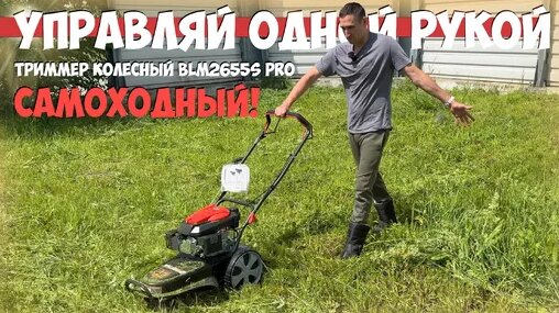 Дешево и эффективно! Триммер колесный Blm2655s PRO самоходный ...