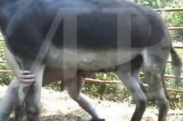 Yalangoch ayollarning tukli oyoqlari