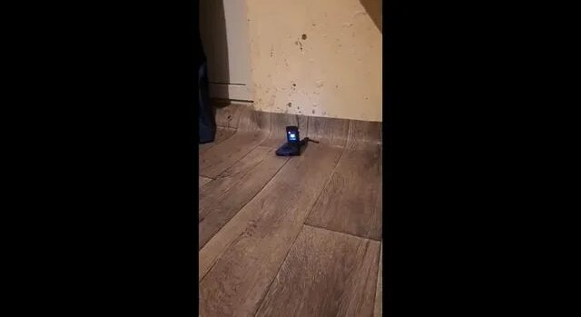 Хатсан 125 гп 185атм Против Телефона Пробивная способность воздушка ппп ...