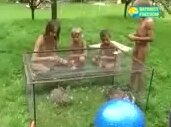 Yandex video arama