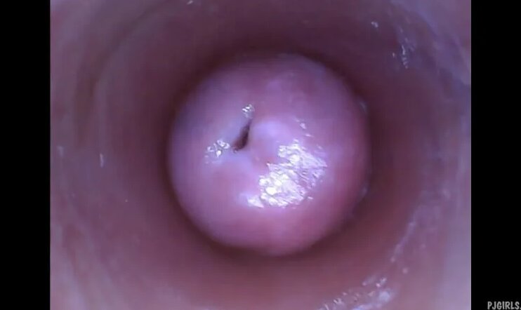 Vadim va Stepanv porno