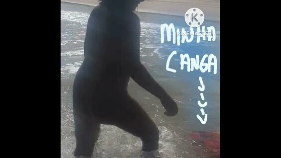 Brazil+naturist+festival+tour: 800 video Yandex