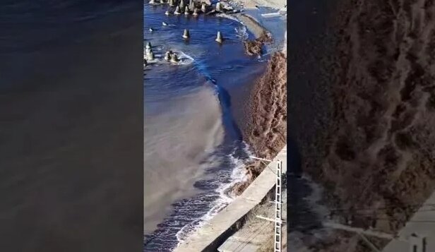 Мазут дошел до СОЧИ - Смотреть онлайн в поиске Яндекса по Видео