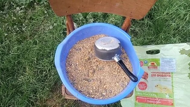 Чтобы Куры Хорошо Неслись. Секрет от Птицефабрики, чтобы Куры Неслись ...
