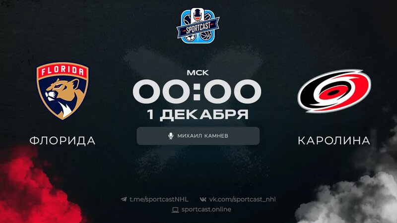 Смотреть онлайн прямая трансляция «Флорида Пантерз» – «Каролина ...