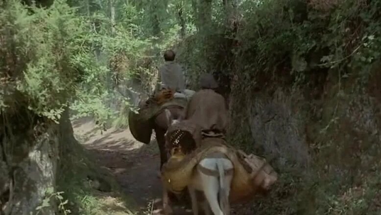 Роя айхан сексуалды