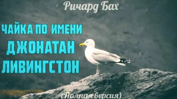 Ричард Бах «Чайка по имени Джонатан Ливингстон» (полная версия ...