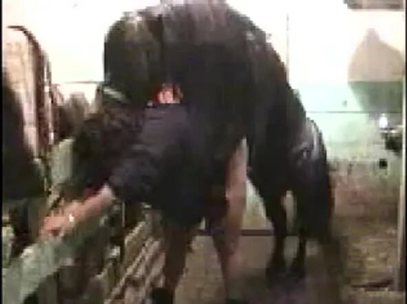 Sex with a Horse ni onlayn tomosha qiling