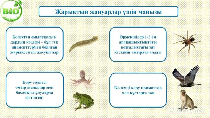 Орыс күйеуі мен әйелі жыныстық қатынасқа түскен видео