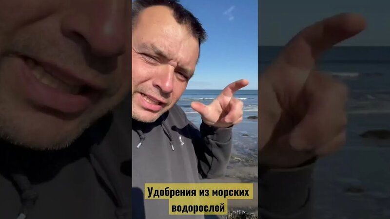 Удобрение из морских водорослей. Морская капуста - Смотреть онлайн в ...