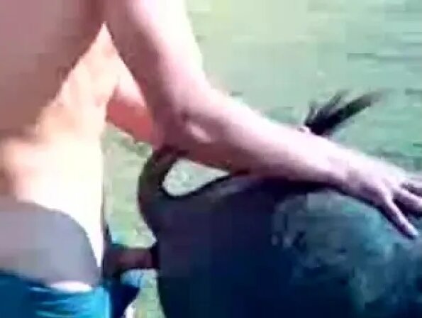 Қалың кремді