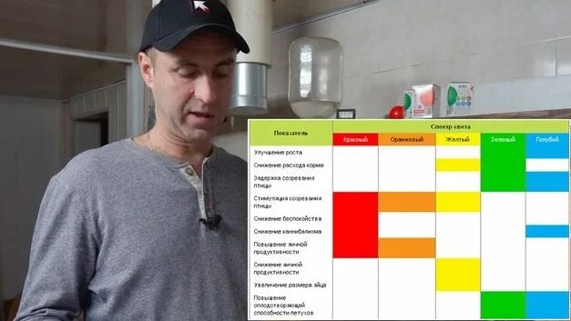 Освещение в брудере для цыплят.Свет.Цвет и Мощность ламп для цыплят в ...