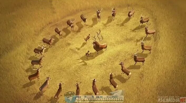 Yapon fohishaxonalarida porno