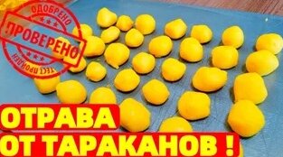 Отрава для тараканов своими руками Борная кислота и желток ! ПО Совету ...
