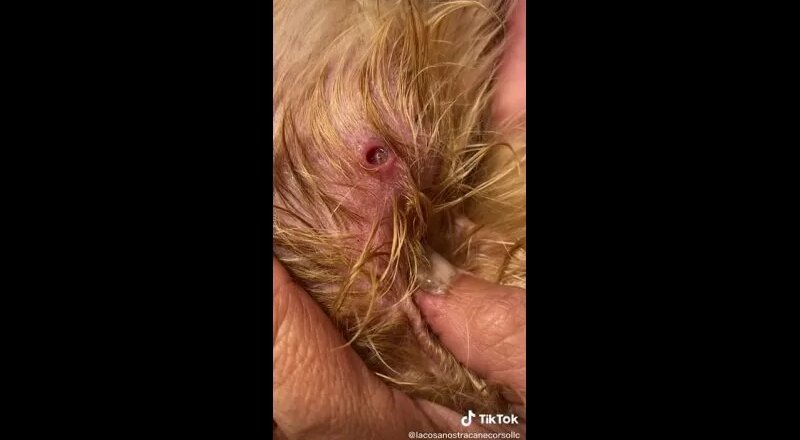 Qizlar jinsiy fantaziya rasmlar