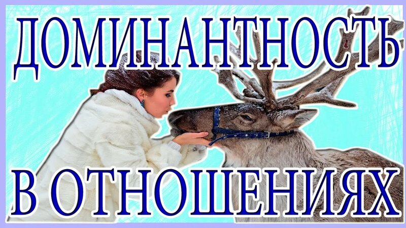 Доминантность в отношениях.Что это на самом деле? - Смотреть онлайн в ...