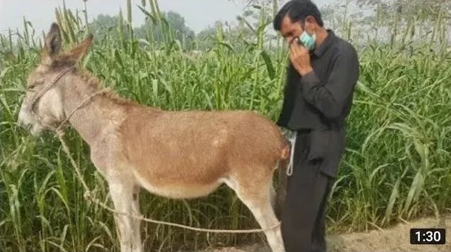 Keksa erkaklar porno videolarini onlayn tomosha qiling