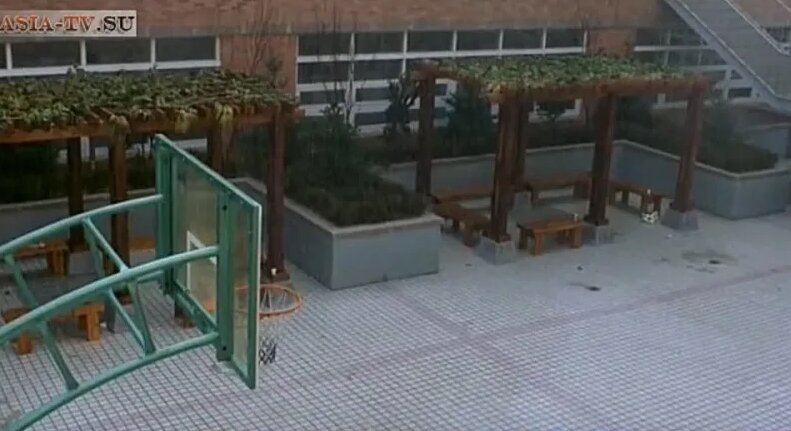 Прыжок с тарзанки 2001 Южная Корея сенен-ай - Смотреть онлайн в поиске ...