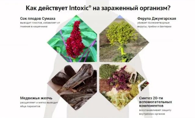 intoxic купить в аптеке - интоксик лекарство "отзывы" - Смотреть онлайн ...