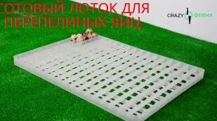 Сотовый лоток для инкубатора. Лоток для куриных яиц. Лоток для ...