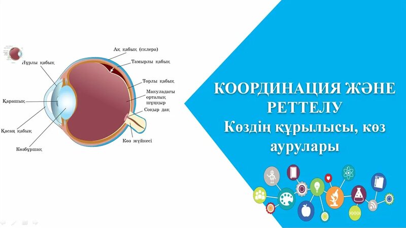 Массаж кезінде қалай трахается болады