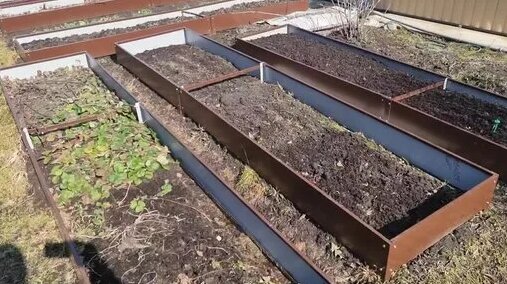 Оцинкованные грядки из полимерным покрытием на даче после очередной ...