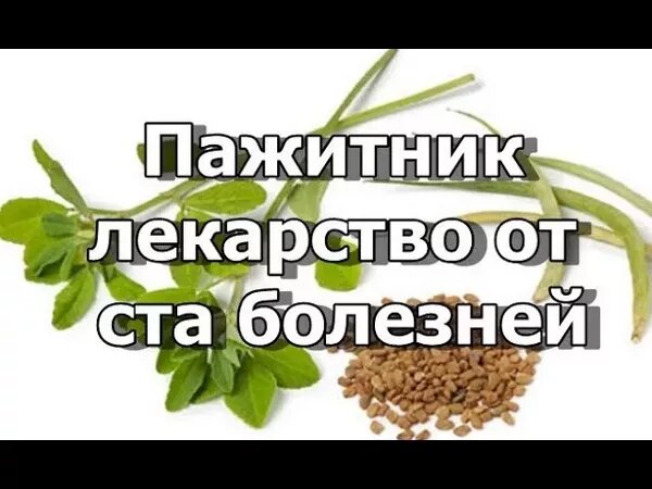 Лекарство от ста болезней - Пажитник - Смотреть онлайн в поиске Яндекса ...