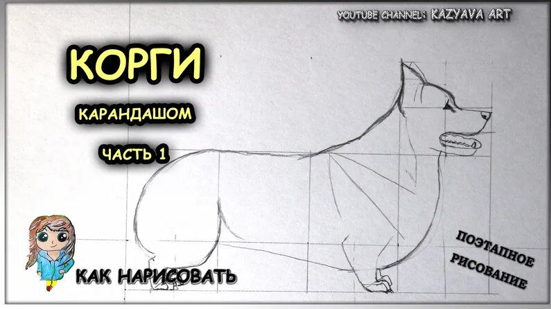 как нарисовать собаку корги карандашом