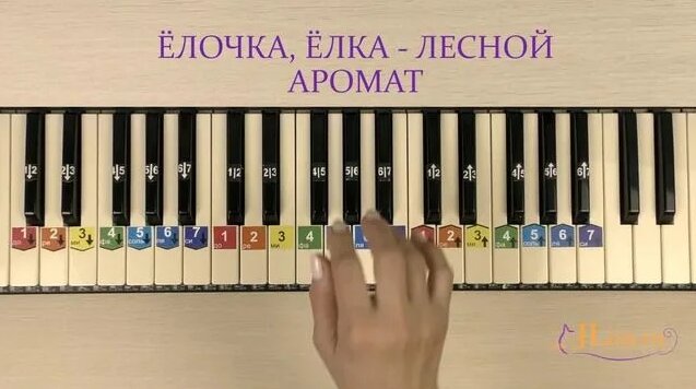 Елочка, елка - лесной аромат. Как играть на пианино. Ноты цифрами ...