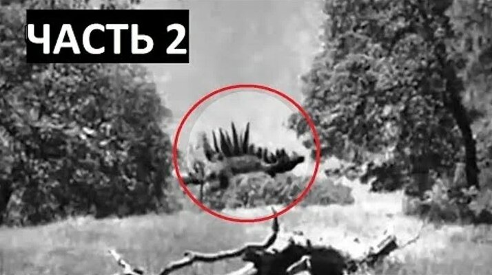 5 Динозавров, Снятых НА Видео. Часть 2. Динозавры, которых засняли на ...