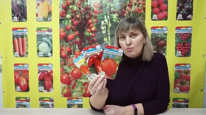 Сладкие томаты для открытого грунта серии "Сахар и мёд" от Агрофирмы ...