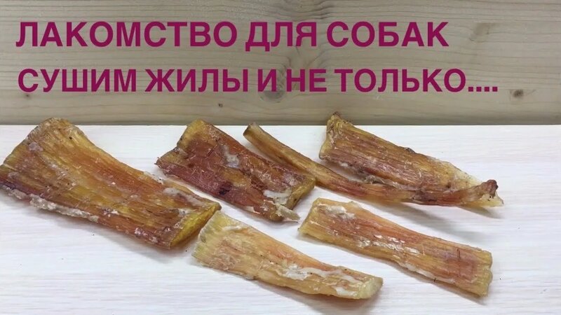 Сушеные ЖИЛЫ // Долгоиграющее лакомство для собак - Смотреть онлайн в ...