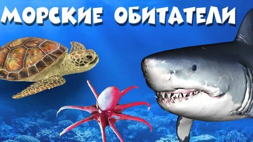 Занимательный досуг | Обитатели морей и океанов. Развивающие мультики ...