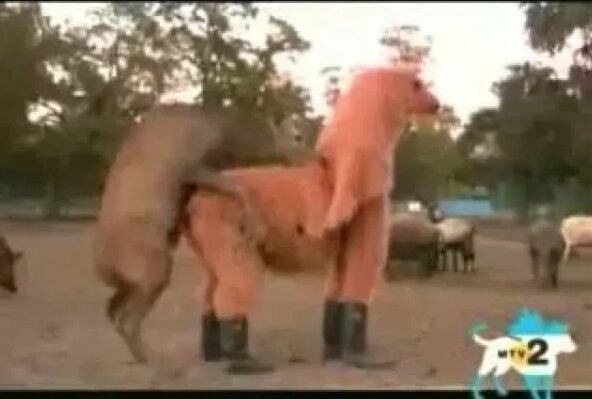 Gozal ayollar onanizm porno videolar