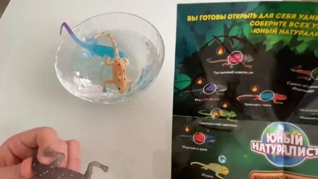 Юный натуралист (Дикси)/ящерицы меняют цвет (волшебные ящерицы ...